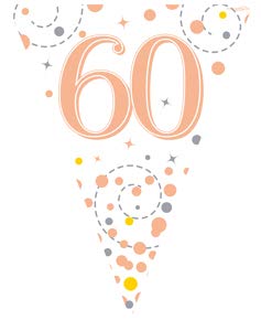 60th Birthday Rose Gold Birthday Party Flag Banner Bunting Age 60