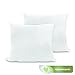 BioPedic Luxurious 28-by-28 Inch Euro Square Pillows, 2-Pack