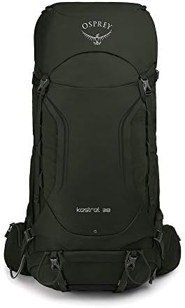 osprey kestrel 38 picholine green