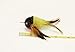 Litterboy Baltimore Oriole Bird Attachment - Fits Popular Wand Toys
