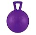 Jolly Pets Tug-n-Toss Heavy Duty Dog Toy Ball with Handle, 3 Inches/Mini, Purple (403 PR)