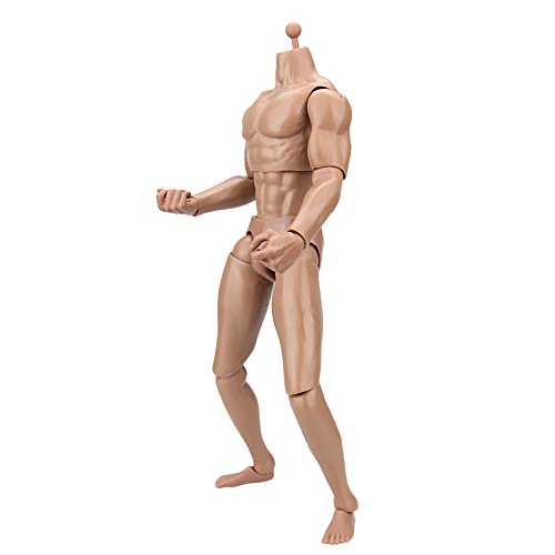 Owfeel No.1 Action Muscle Male Nude Body Figure Soldier Model Toys Doll 1:6 Scale for Hot Toys - Thumbnail 3
