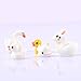 Garden Ornaments,Hmane Miniatur Ornament Kit Set for DIY Fairy Garten Dollhouse Dekor