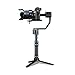EVO Rage Gen2 Camera Stabilizer for DSLR or Mirrorless Cameras, Works with Sony, Panasonic and Most Cameras 0.75 to 5.5lbs, 1 Year US Warranty and Tech Support