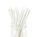 White Paper Straws Biodegradable Disposable Party Decoration and Party Drinking Straws 100 Count for Wedding, Birthday Party or any Themed Party (White-100)