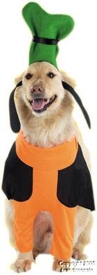 Pet Goofy Dog Halloween Costume (Size: Medium)