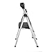 2-Step Aluminum Ultra-Light Step Stool Ladder with Project Tray Top and 225 lb. Capacity, ANSI Type 2 Duty Rating (2 Step)
