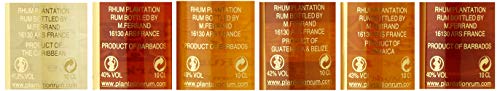 Plantation EXPERIENCE Artisanal Rum (1 x 0.6 L) – Bild 4