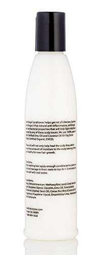 Healthy Hair Plus - Anti Fungal Conditioner - 8oz - //medicalbooks.filipinodoctors.org