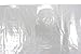 Plastic Bag-Clear LDPE Poly Vented Produce Bags 10