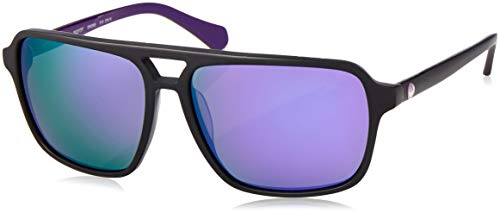 Dragon Alliance Matte Black Purple/Purple Ion Passport Sunglasses (Certified Refurbished)