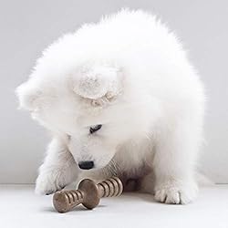 Benebone Puppy 2-Pack Maplestick/Zaggler Durable