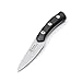 TUO Cutlery Hacker Series Small Outdoor Fixed Blade Camping Knives Paring Knife 3.5 Japanese High Carbon Stainless Steel with Premium Ebony wood Full Tang Handle