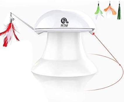 automatic cat laser amazon