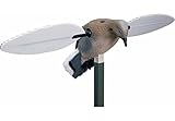 Mojo Outdoors Voodoo Dove Decoy
