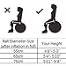 REEHUT Exercise Ball (55cm,65cm,75cm) for Fitness,Anti-Burst Yoga Ball Office Chair,Balance Ball,Extra Thick Stability Ball for Home, Gym,Physical Therapy, Pregnancy Quick Pump Included