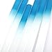 SIUSIO 20 pack Professional Czech Crystal Glass Nail Files Buffer Manicure Tools Kit Set Gradient Rainbow Color for Nail polishing - The Best Emory Boards for Fingernail & Toenail Care (BLUE)
