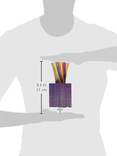 Super Bird Creations 7-1/2 by 3-1/2-Inch Paper Party Bird Toy, X-Large