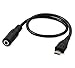 Qaoquda (2-Pack Micro USB Jack Male to 3.5mm Female Headset Adapter Cable Cord for Active Clip Mic Microphone -1Feet (Black)
