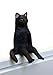 Kitan Club - Sitting Cat Plastic Toy - Blind Box Includes 1 of 6 Collectable Figurines - Fun, Versatile Decoration - Authentic Japanese Design - Made from Durable Plastic