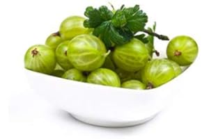 Fresh Frozen Organic Green Gooseberries by Northwest Wild Foods - Healthy Antioxidant Fruit Diet - for Smoothies, Pies, Jams, Syrups (4.5 Pounds)