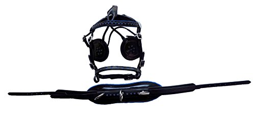 Equitem Black Leather Mini Pony Driving Harness with Blue Hearts