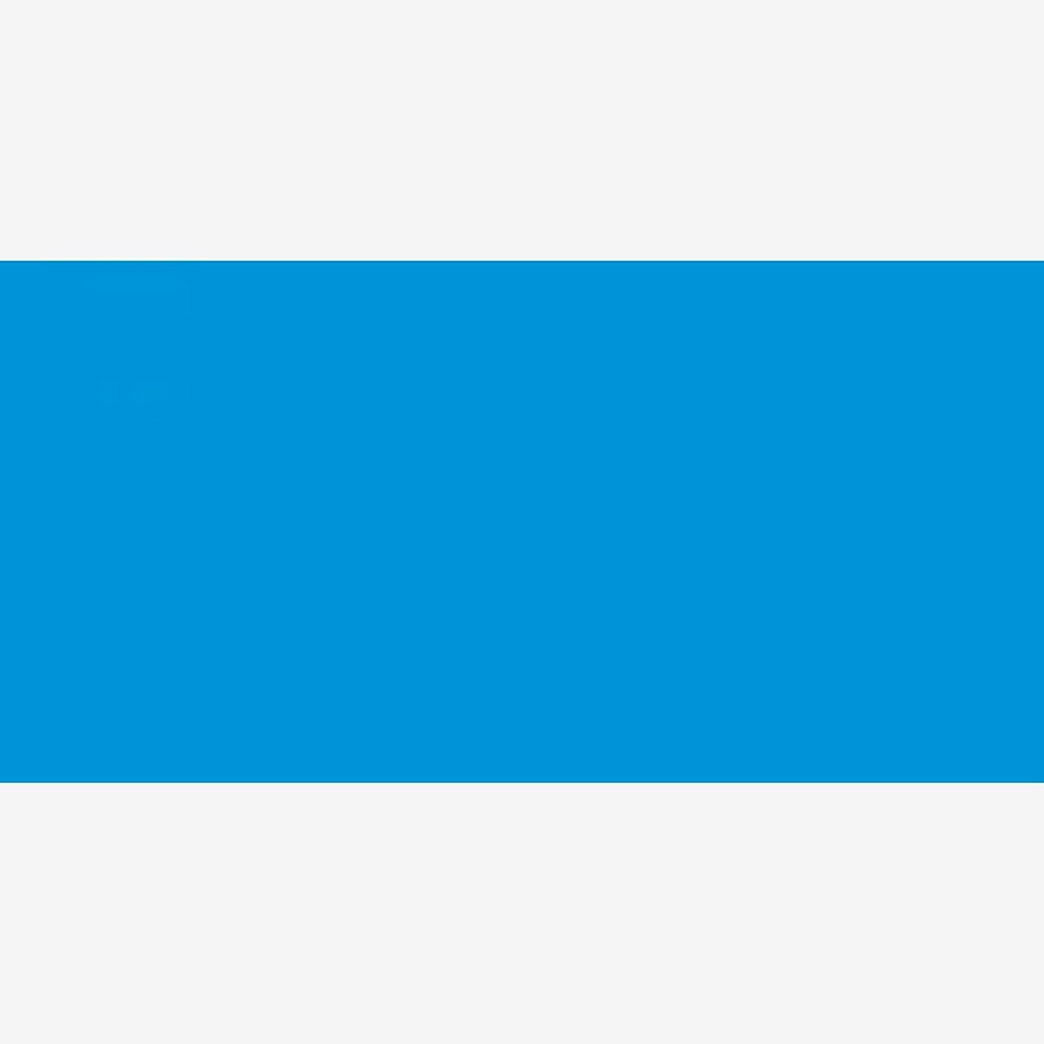 Permaset Aqua Standard 1 Litre Light Blue Ink - Screen Printing Ink for Fabric - Ideal Screen Printing Kit for Home Office, Starter Kit, Fabric Paint, Screen Printer and Other Fabric Ink