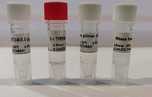 First Strand cDNA Synthesis Kit_50 Reactions_25 µL per Reaction