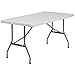 Flash Furniture Kathryn 5-Foot Granite White Plastic Folding Table