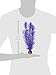 biOrb 46080.0 Kelp Set Medium Purple Aquariumsthumb 1