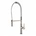 Kraus KPF-1650SS Nola Kitchen Faucet, Stainless Steel primary