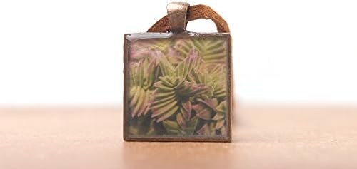 Crassula capitella Succulent Photo Necklace