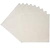 Homey-10-Pack-Flexible-Reusable-and-Resizable-Non-Stick-Teflon-Food-Dehydrator-Sheets-14×14-Inches