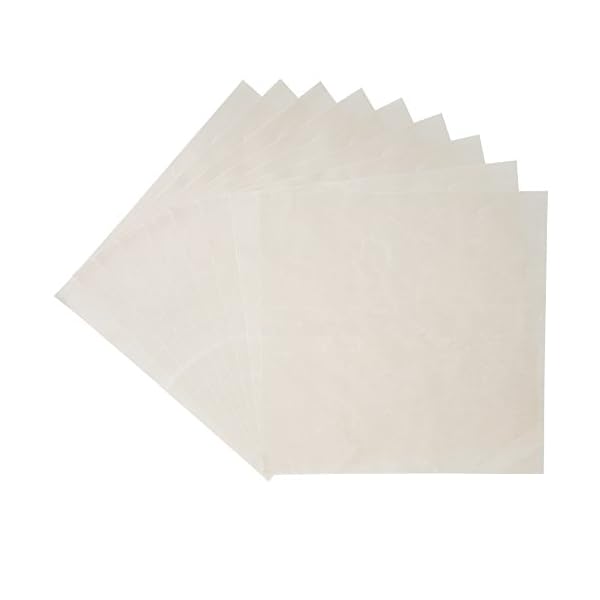 Homey-10-Pack-Flexible-Reusable-and-Resizable-Non-Stick-Teflon-Food-Dehydrator-Sheets-14×14-Inches