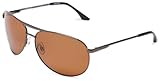 Polaroid Sunglasses Polarized P4039s Aviator Sunglasses