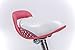 RoyalBaby Princess Girl Children's Bicycle Outdoor Ride-On Bike with Kickstand, Adjustable Seat, and Basket, 18 Inch, Jenny/White-Pink