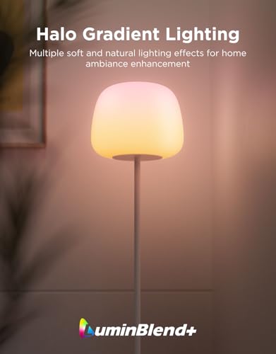 Govee Lantern Floor Lamp, Halo Gradient RGBICWW Smart Standing Lamp with Silicone Soft Lamp Shade, 1000K-10000K, 100+Scene Modes, Music Sync, 1400lm, Matter Compatible, Ideal for Living Room, Bedroom
