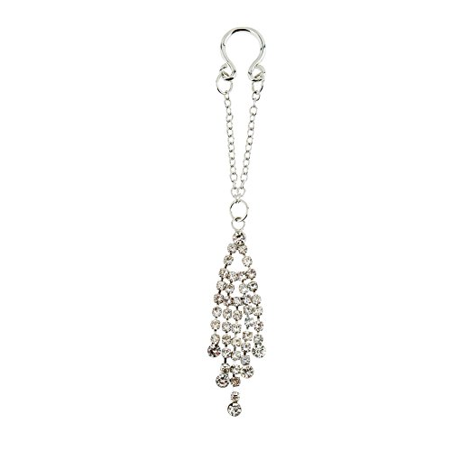 Jewelry Set Kit Lot of 2pcs Alloy Round Nipple Rings Piercings Barbells Shields Nipplerings With Long Tassels Decorations On Chains