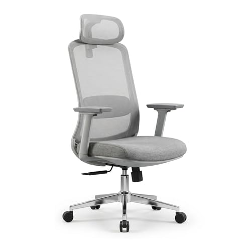 Skyland Ergonomic Office Chair with Mesh Backrest, Soft 3D Armrests, Desk chair with lumbar support, Executive Computer Chair for Home Office (Grey)