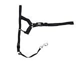Coastal Pet Walk'n Train Dog Head Halter Size: 4