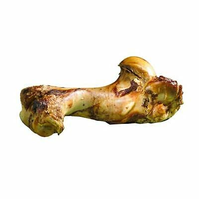 Jumbo Size Roasted Beef Shin Leg Bone Treats - All Natural and Healthy Chews for Dogs. Premium Grade XL Bone 1.5kg - Perfect for Medium and Large Dogs