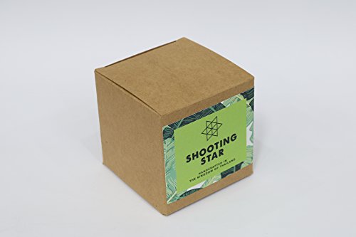 Shooting Star: Handmade & Organic Wooden Star Puzzle for Adults from SiamMandalay with Free SM Gift Box(Pictured)