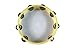 Audiopipe ATMDOV10 Zebra Sound 10 Tambourine