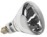 Replacement Pool Light Bulb - 500W/120V