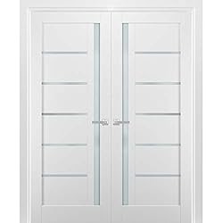 French Double Panel Lite Doors 48 x 80 with