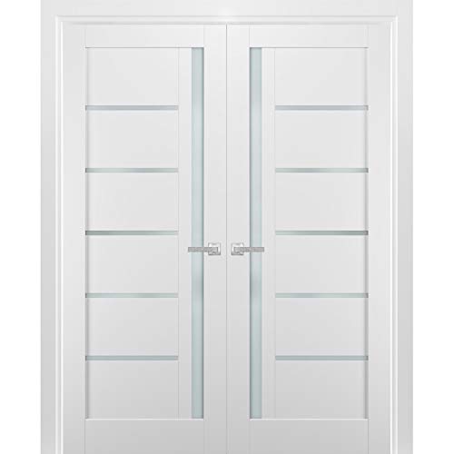 French Double Panel Lite Doors 48 x 80 with