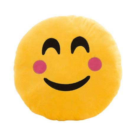 Honey Shopee Cute Smiley Face Pillow And Cushions Color And