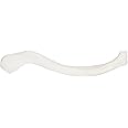 Axis Scientific Clavicle Bone Model | Left | Cast from Real Human Clavicle Bone l Human Collarbone Model Has Realistic Texture and Important Bony Landmarks | Includes Product Manual