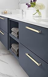Amerock | Cabinet Pull | Brushed Gold/Satin Nickel
