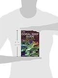 Image de Coral Reef Guide Red Sea